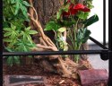 Repti-Zoo Terrarium RK 45x45x60cm