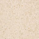 Komodo CaCo3 Sand White - jadalny piasek dla gadów