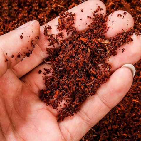 Komodo Rainforest Substrate 6l - podłoże tropikalne Komodo Rainforest Substrate 6l - podłoże tropikalne