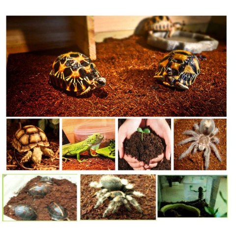 Komodo Rainforest Substrate 6l - podłoże tropikalne Komodo Rainforest Substrate 6l - podłoże tropikalne