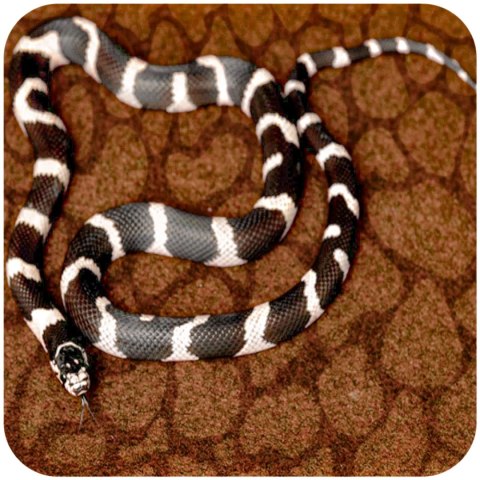 Resun Desert Carpet Mat - mata do terrarium 50x20cm Resun Desert Carpet Mat - mata do terrarium 50x20cm