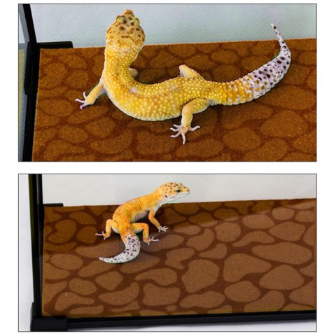 Resun Desert Carpet Mat - mata do terrarium 50x20cm Resun Desert Carpet Mat - mata do terrarium 50x20cm