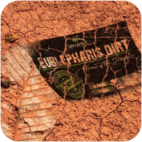 Terrario Eublepharis Dirt 1 kg - podłoże dla gekona lamparciego Terrario Eublepharis Dirt 1 kg - podłoże dla gekona lamparciego