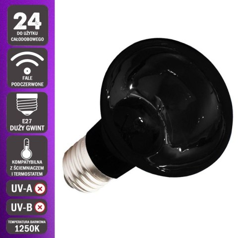 Komodo Moonlight 50W - nocna żarówka grzewcza Komodo Moonlight 50W - nocna żarówka grzewcza