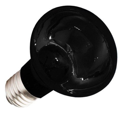 Komodo Moonlight 50W - nocna żarówka grzewcza Komodo Moonlight 50W - nocna żarówka grzewcza