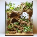 Terrario Rustic Wood Bowl - Miska do Terrarium 12x12x3,5 cm