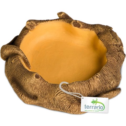 Terrario Rustic Wood Bowl - Miska do Terrarium 12x12x3,5 cm Terrario Rustic Wood Bowl - Miska do Terrarium 12x12x3,5 cm