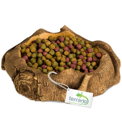 Terrario Rustic Wood Bowl - Miska do Terrarium 12x12x3,5 cm Terrario Rustic Wood Bowl - Miska do Terrarium 12x12x3,5 cm