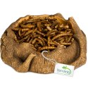 Terrario Rustic Wood Bowl - Miska do Terrarium 12x12x3,5 cm