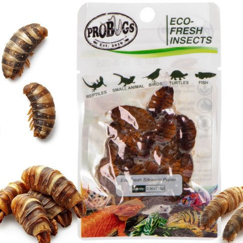 ProBugs Eco-Fresh Silkworm 15g - świeże larwy jedwabnika ProBugs Eco-Fresh Silkworm 15g - świeże larwy jedwabnika