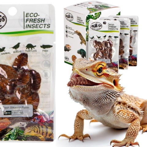 ProBugs Eco-Fresh Silkworm 15g - świeże larwy jedwabnika ProBugs Eco-Fresh Silkworm 15g - świeże larwy jedwabnika