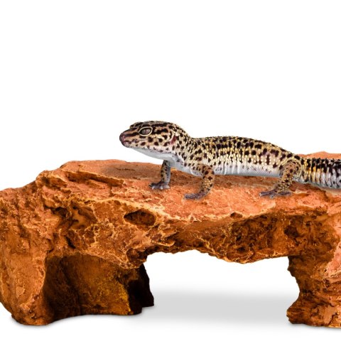 Terrario Mountain Shelf M - kryjówka do terrarium 22x17x8,5cm Terrario Mountain Shelf M - kryjówka do terrarium 22x17x8,5cm