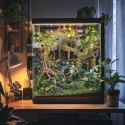 Terrario - Sztuczna Gałąź Dekoracyjna z Pędami do Terrarium - 100 cm