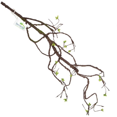 Terrario - Sztuczna Gałąź Dekoracyjna z Pędami do Terrarium - 100 cm Terrario - Sztuczna Gałąź Dekoracyjna z Pędami do Terrarium - 100 cm