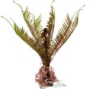 Terrario - Sztuczna roślina do terrarium - Paproć 40x14x41 cm
