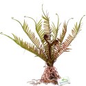 Terrario - Sztuczna roślina do terrarium - Paproć 40x14x41 cm