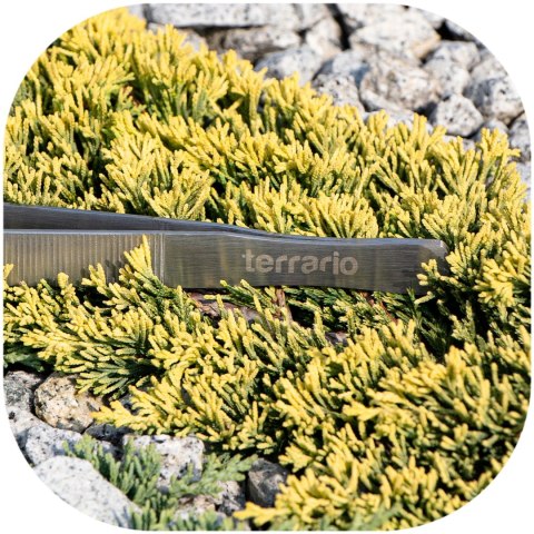 Terrario ViperTweez Bent XL - pęseta zagięta 38cm Terrario ViperTweez Bent XL - pęseta zagięta 38cm
