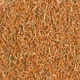 Tetra Gammarus Mix 250ml - pokarm dla żółwi z gammarus
