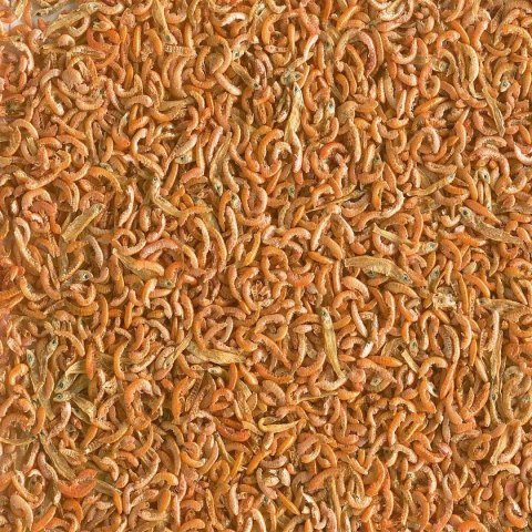 Tetra Gammarus Mix 250ml - pokarm dla żółwi z gammarus Tetra Gammarus Mix 250ml - pokarm dla żółwi z gammarus