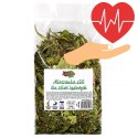 Alegia - codzienne zioła dla Żółwi 80g