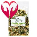 Alegia - zielone ziółka dla szynszyli 120g