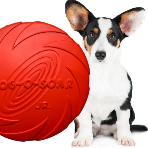 Pet Nova zabawka - dysk gumowy frisbee czerwony 15cm Pet Nova zabawka - dysk gumowy frisbee czerwony 15cm