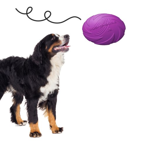 Pet Nova zabawka - dysk gumowy frisbee fioletowy 22cm Pet Nova zabawka - dysk gumowy frisbee fioletowy 22cm