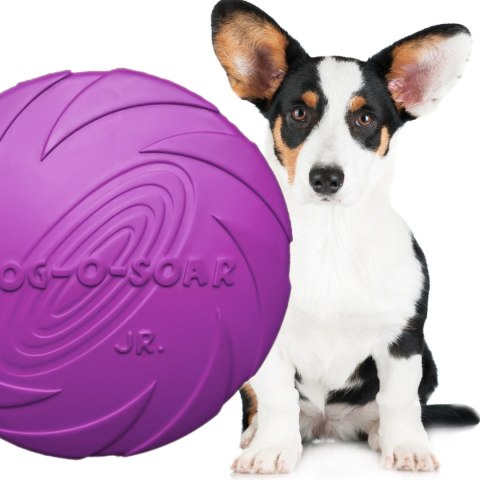 Pet Nova zabawka - dysk gumowy frisbee fioletowy 22cm Pet Nova zabawka - dysk gumowy frisbee fioletowy 22cm