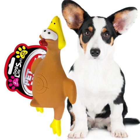 Pet Nova zabawka gumowa - brązowa kura w locie 26cm Pet Nova zabawka gumowa - brązowa kura w locie 26cm