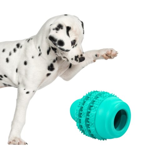 Pet Nova zabawka - piłka jumper dental miętowa 5cm Pet Nova zabawka - piłka jumper dental miętowa 5cm