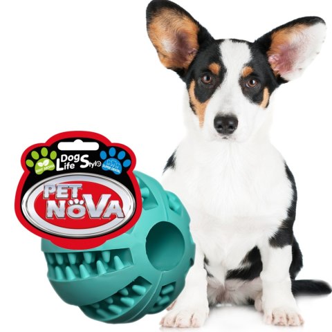 Pet Nova zabawka - piłka superdental baseball miętowa 5cm Pet Nova zabawka - piłka superdental baseball miętowa 5cm