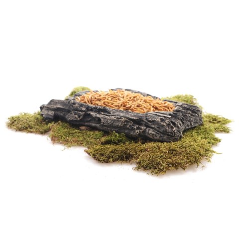 Komodo Bark Bowl L - miska w korze Komodo Bark Bowl L - miska w korze