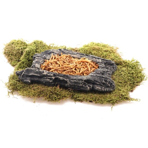 Komodo Bark Bowl M - miska w korze Komodo Bark Bowl M - miska w korze