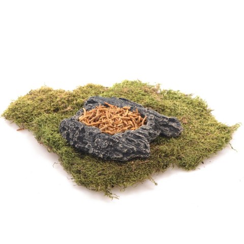 Komodo Bark Bowl S - miska w korze Komodo Bark Bowl S - miska w korze