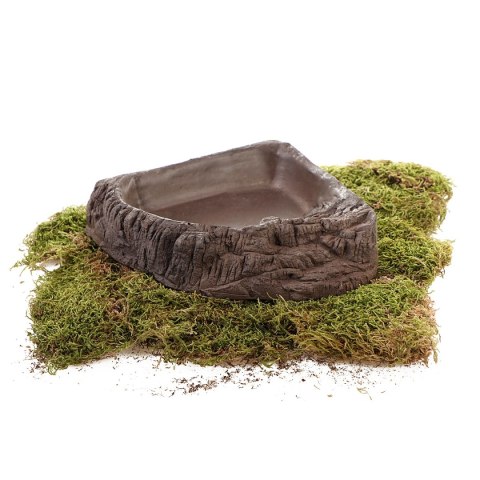 Terrario WoodLake L - rogowa miska na wodę 20x20x4cm Terrario WoodLake L - rogowa miska na wodę 20x20x4cm