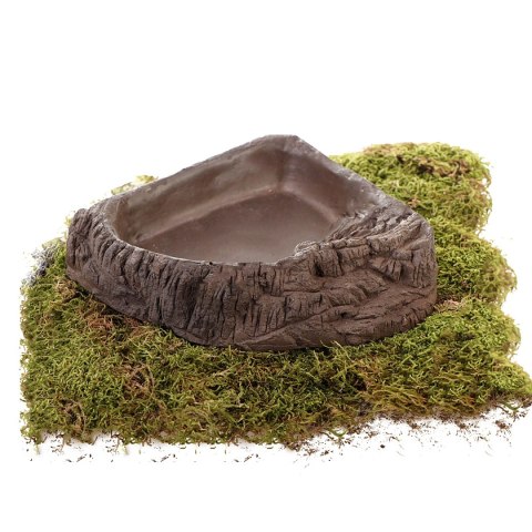 Terrario WoodLake L - rogowa miska na wodę 20x20x4cm Terrario WoodLake L - rogowa miska na wodę 20x20x4cm