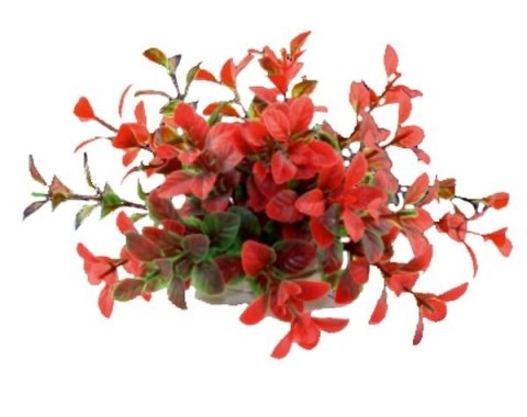 Happet Aquatic Plant - czerwono-zielona roślinka sztuczna 10cm Happet Aquatic Plant - czerwono-zielona roślinka sztuczna 10cm