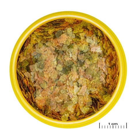 JBL Pronovo Bel Flakes S 100ml - podstawowy pokarm w płatkach dla ryb JBL Pronovo Bel Flakes S 100ml - podstawowy pokarm w płatkach dla ryb