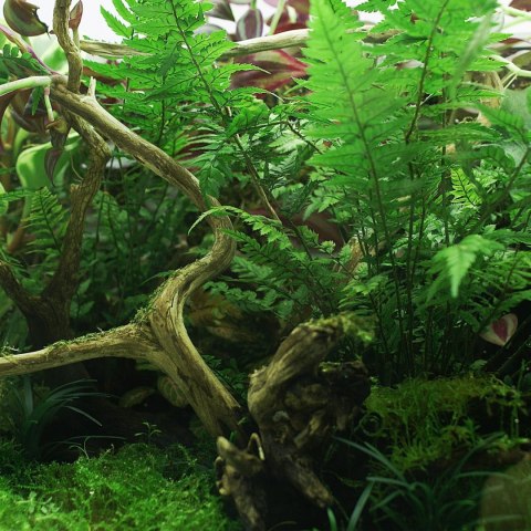 YOKUCHI HAISUI BASE 2L - podłoże drenażowe do terrarium YOKUCHI HAISUI BASE 2L - podłoże drenażowe do terrarium